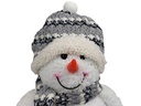 2er-Set-LED-Deko-Schneemann-Papa-und-Sohn-Weihnachtsdekoration-beleuchtete-gravidus-10438_4.jpg