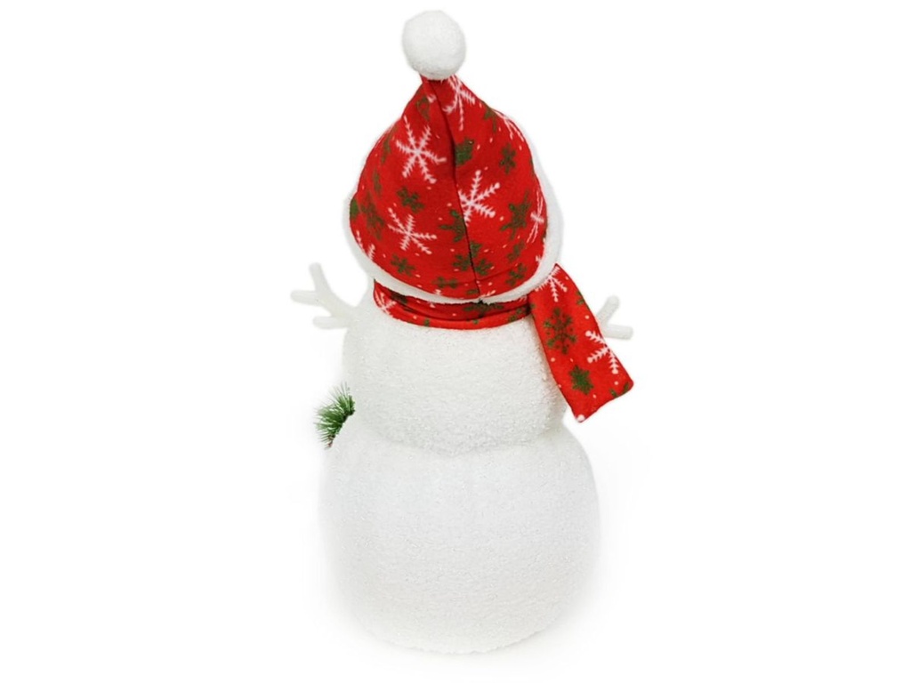 Schneemann--1-gravidus-10476_2.jpg