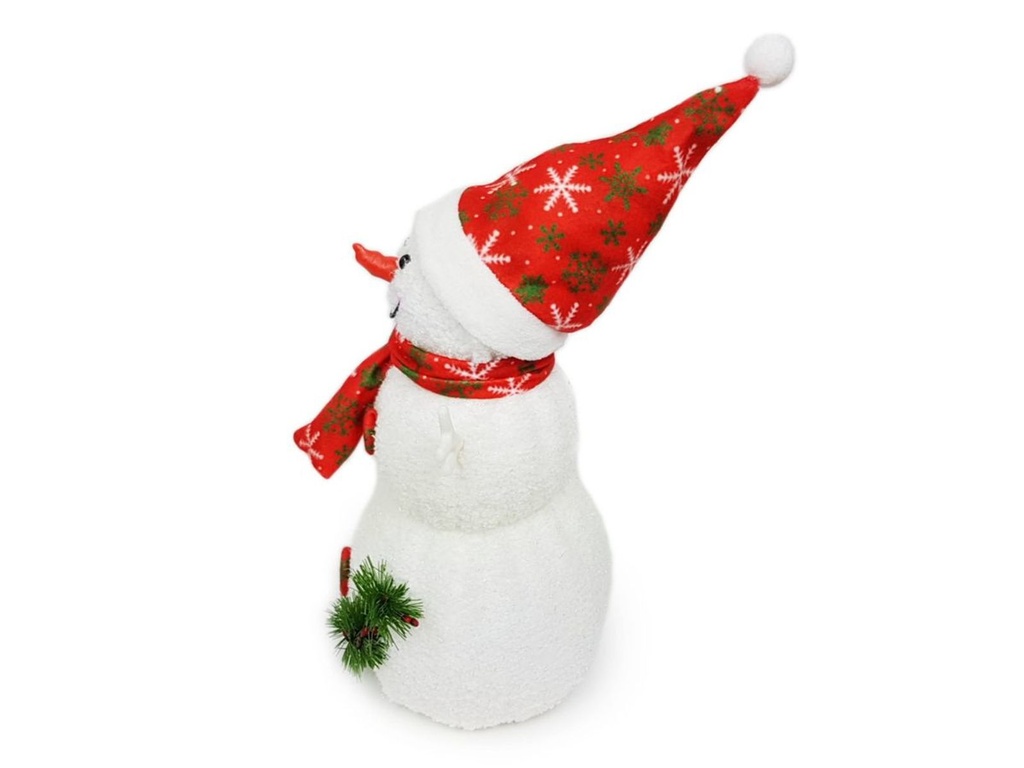 Schneemann--1-gravidus-10476_3.jpg