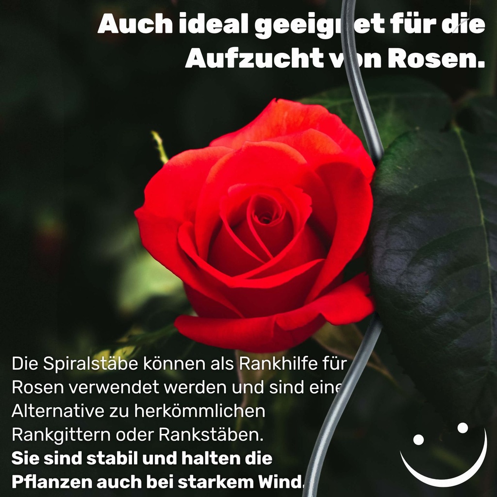 Tomatenspiralstab-110-cm-Wiederverwendbar-robustes-Material-Spiralpflanzstab-gravidus-11287_3.jpg