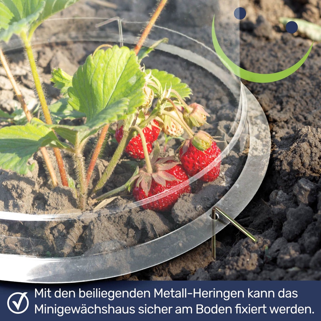 Minigewaechshaus-3er-Glockenfoermig-Schutz-fuer-Jungpflanzen-Kunststoff-Minigewaechshaus--Pflanzenpflege--Gartenbedarf--Schutzabdeckung--Pflanzenzucht--Gartenarbeit--Nachhaltige-Garteng_2.jpg