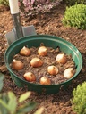 Pflanzkorb-fuer-Zwiebelpflanze---21-7-cm-gravidus-11497_1.jpg
