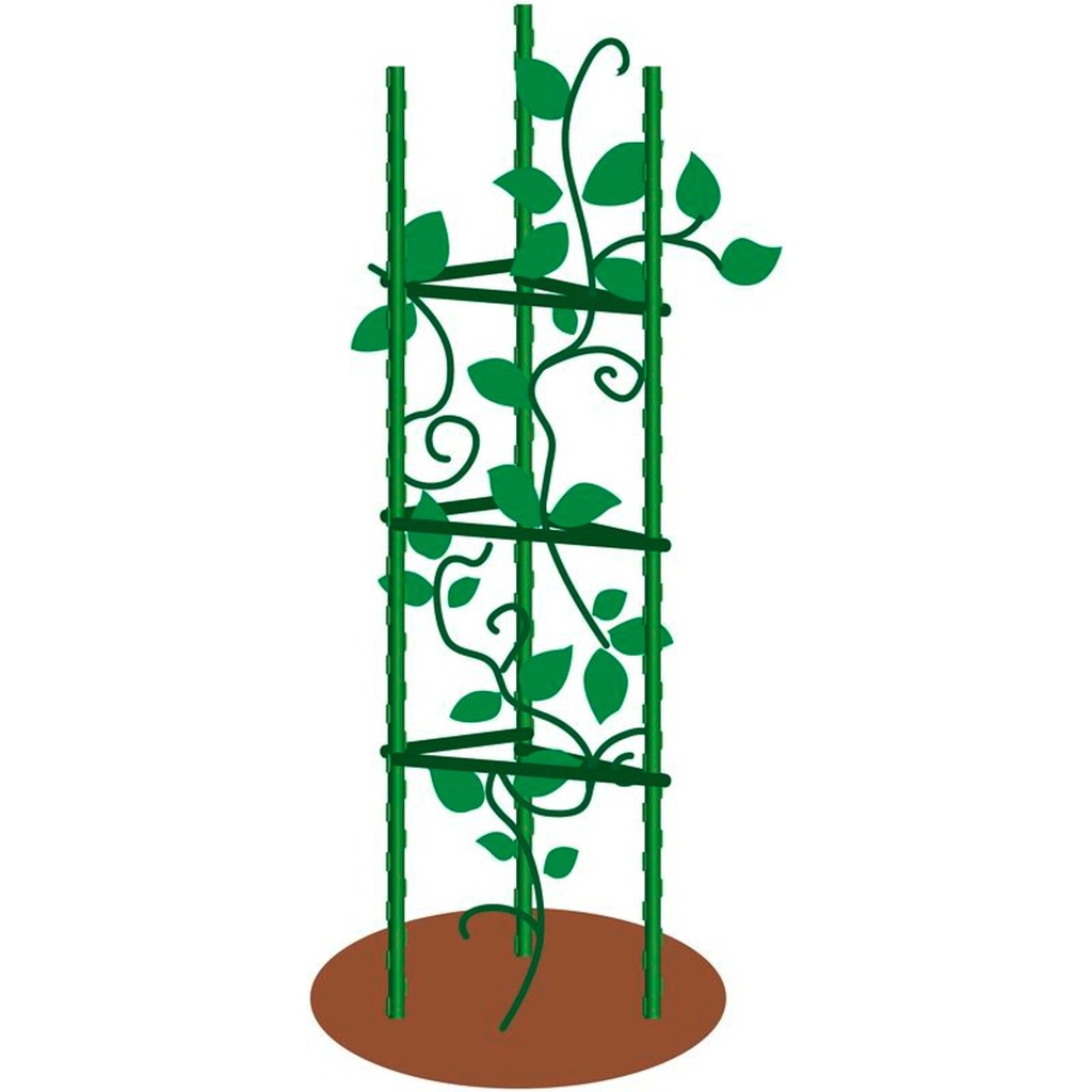 Tomatenkaefig-Rankhilfe-fuer-Kletterpflanzen-Gemuese-und-Blumen-tomatenkaefig-rankhilfe-kletterpflanzen-stuetze-pflanzenstuetze-gemuese-rankgitter-tomatenhilfe-garten-rankhilfe-modular-ra.jpg