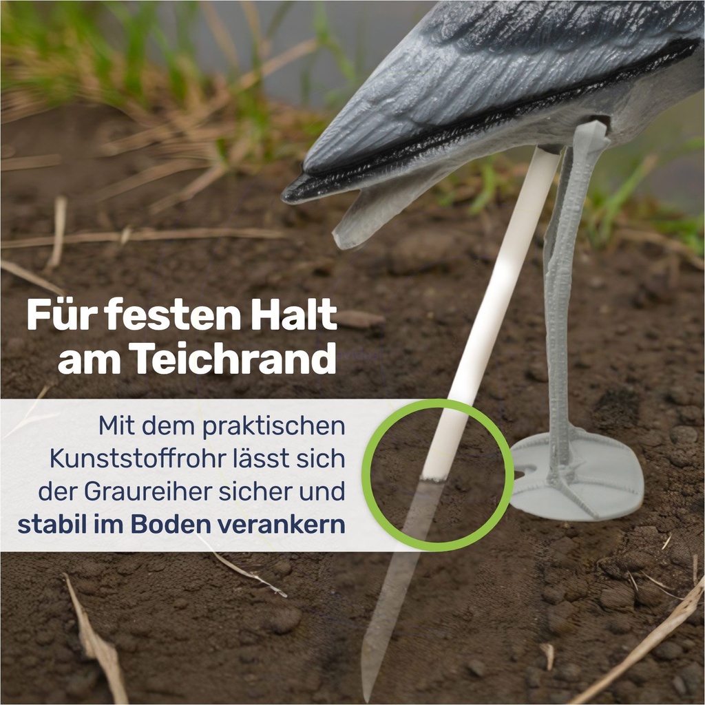 Fischreiher-Attrappe--Wetterfeste-Dekofigur-und-Reiherschreck--75-cm-fischreiher-attrappe-graureiher-gartendeko-reiherschreck-wetterfest-teich-deko-vogelabwehr-gartenfigur-poolschutz-vo_5.jpg