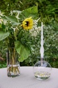 Vase-gravidus-11714_3.jpg