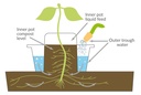 Pflanzgefaess-mit-Wasserspeicher-gravidus-12045_4.jpg