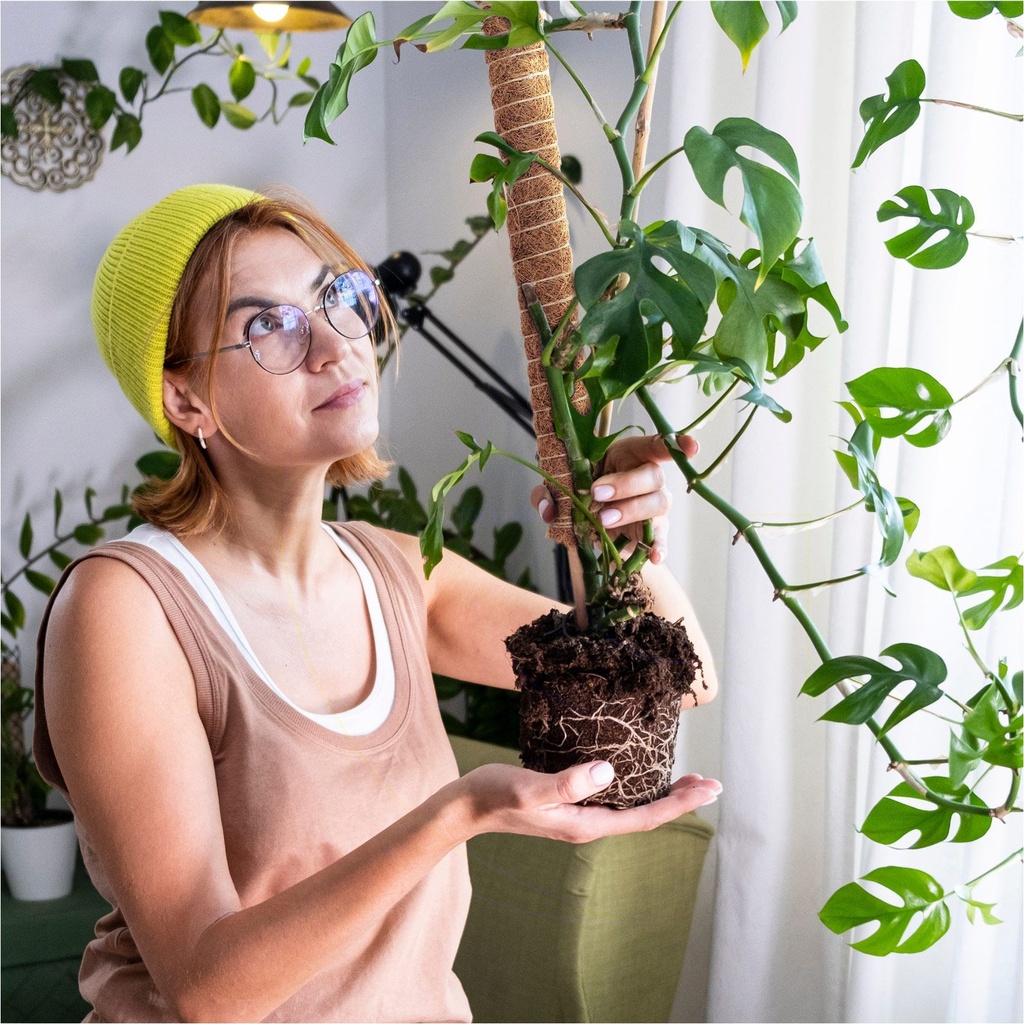 ---Erweiterbare-Rankhilfe-110-cm-mit-Kokosfilz-fuer-Zimmerpflanzen----rankhilfe-kokosstab-erweiterbare-pflanzenstuetze-kokosfilz-110cm-pflanzenstab-kokosfaser-zimmerpflanzen-erweiterbar_9.jpg