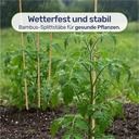 Bambus-Splittstaebe-40---cm-----Pflanzstaebe-Rankhilfe-fuer-Garten-und-Topf-bambus-pflanzstaebe-40cm-rankhilfe-tomaten-pflanzstab-bambusstaebe-anzuchthilfe-pflanzenstuetze-gartenpflanzs_5.jpg