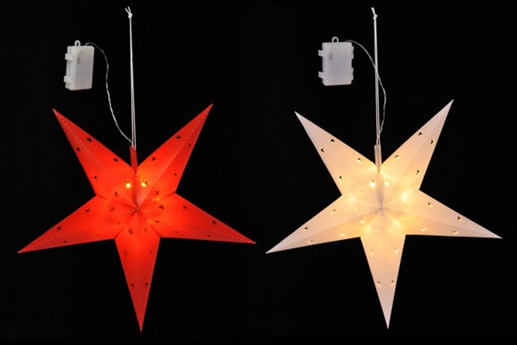 Weihnachtsstern-in-weiss-oder-rot-gravidus-2253.jpg