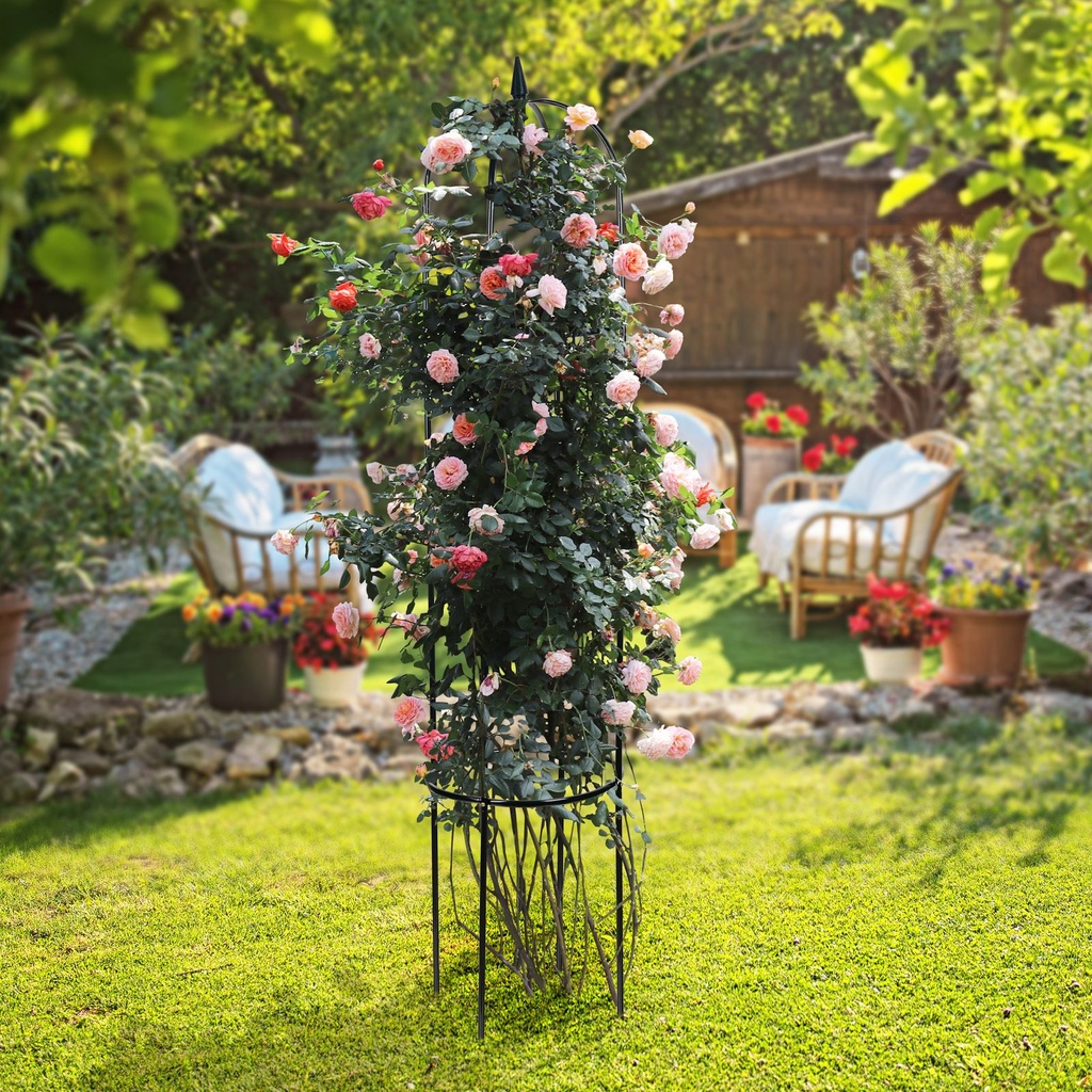 Rankhilfe-Rankgitter-Rosensaeule-Rosenbogen-Rosenhilfe-Rosenturm-Pergola-Rankhilfe--Rankgitter--Rosensaeule--Rosenbogen--Rosenhilfe--Rosenturm--Pergola--Rankpflanze-gravidus-2808_3.jpg