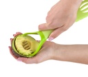 Avocadoschneider-gravidus-7473_5.jpg