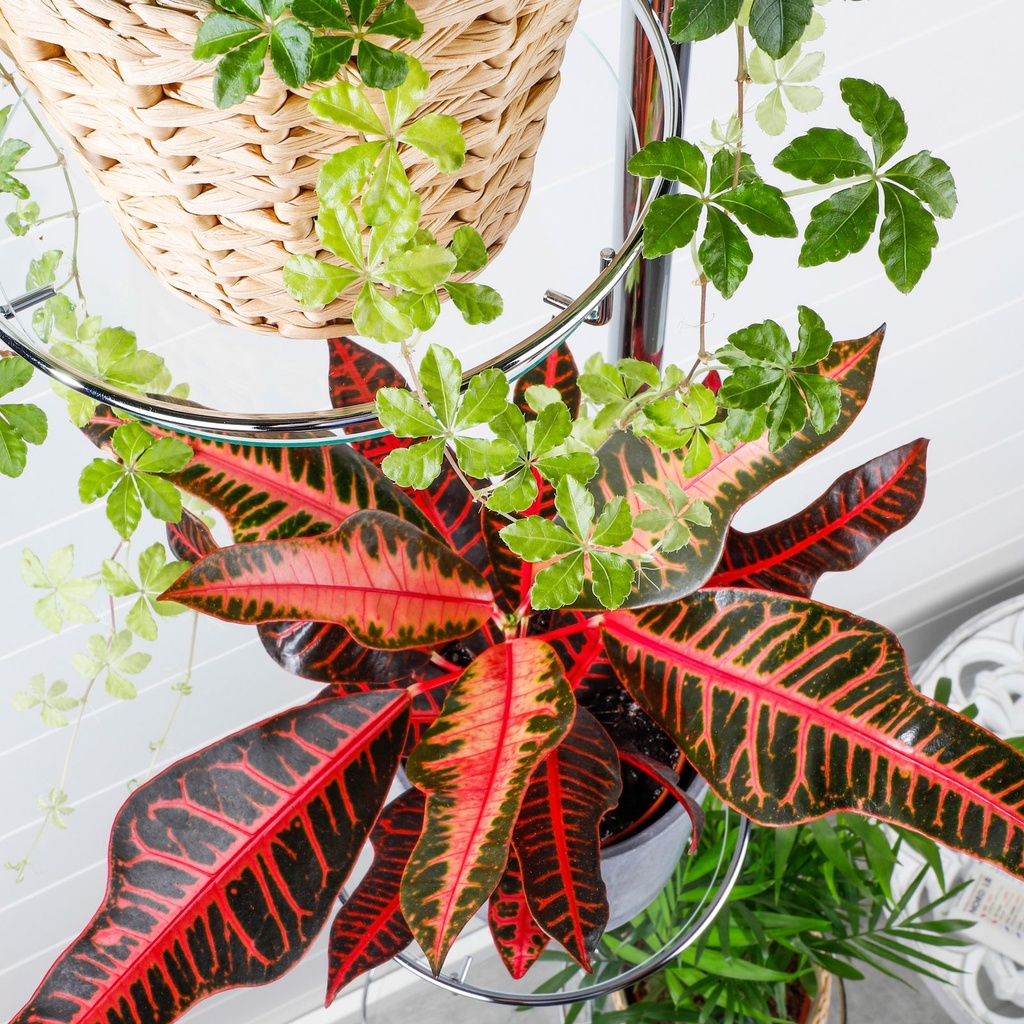 Teleskop-Blumenregal-aus-Metall-Blumentreppe-Blumenstaender-Pflanzentreppe-Balkon-Blumen--Blumendekoration--Blumenarrangements--Deko--Dekoration--Gartendeko--Wintergarten--Regal--Teleskop_2.jpg
