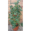 Tomatenkäfig Rankhilfe für Kletterpflanzen Gemüse und Blumen